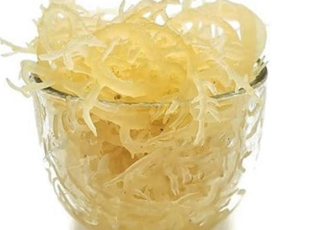 Unflavored Sea Moss Gel