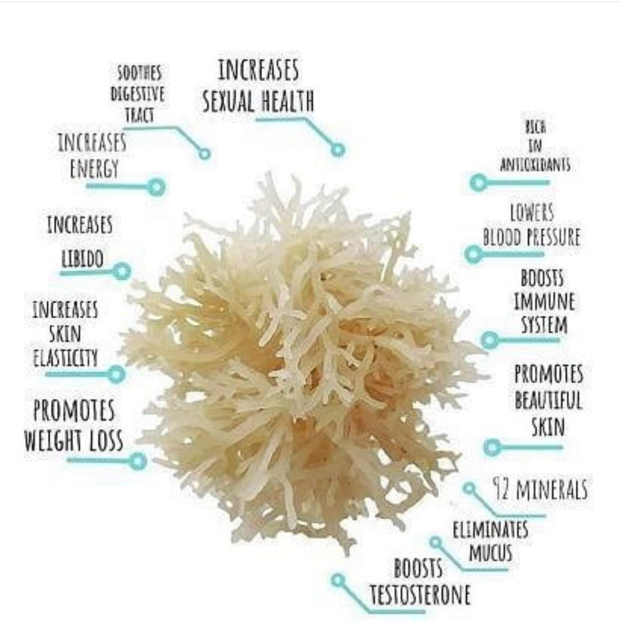 Unflavored Sea Moss Gel