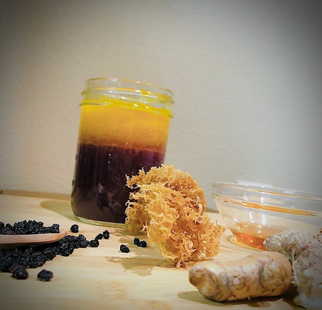 Elderberry Honey/ Turmeric Ginger Sea Moss Gel